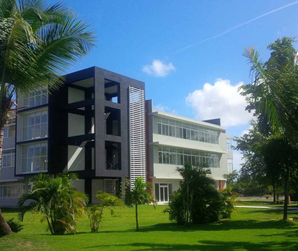 lateraljardin Jardín Lateral